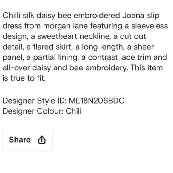 MORGAN LANE Chili 100% Silk Bee Joana Maxi Slip Dress - Picture 12 of 12